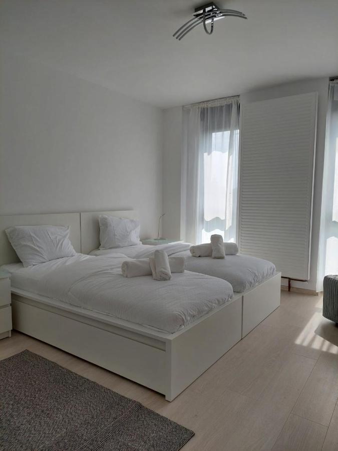 Casa Maria City Apartments Тимишоара Экстерьер фото